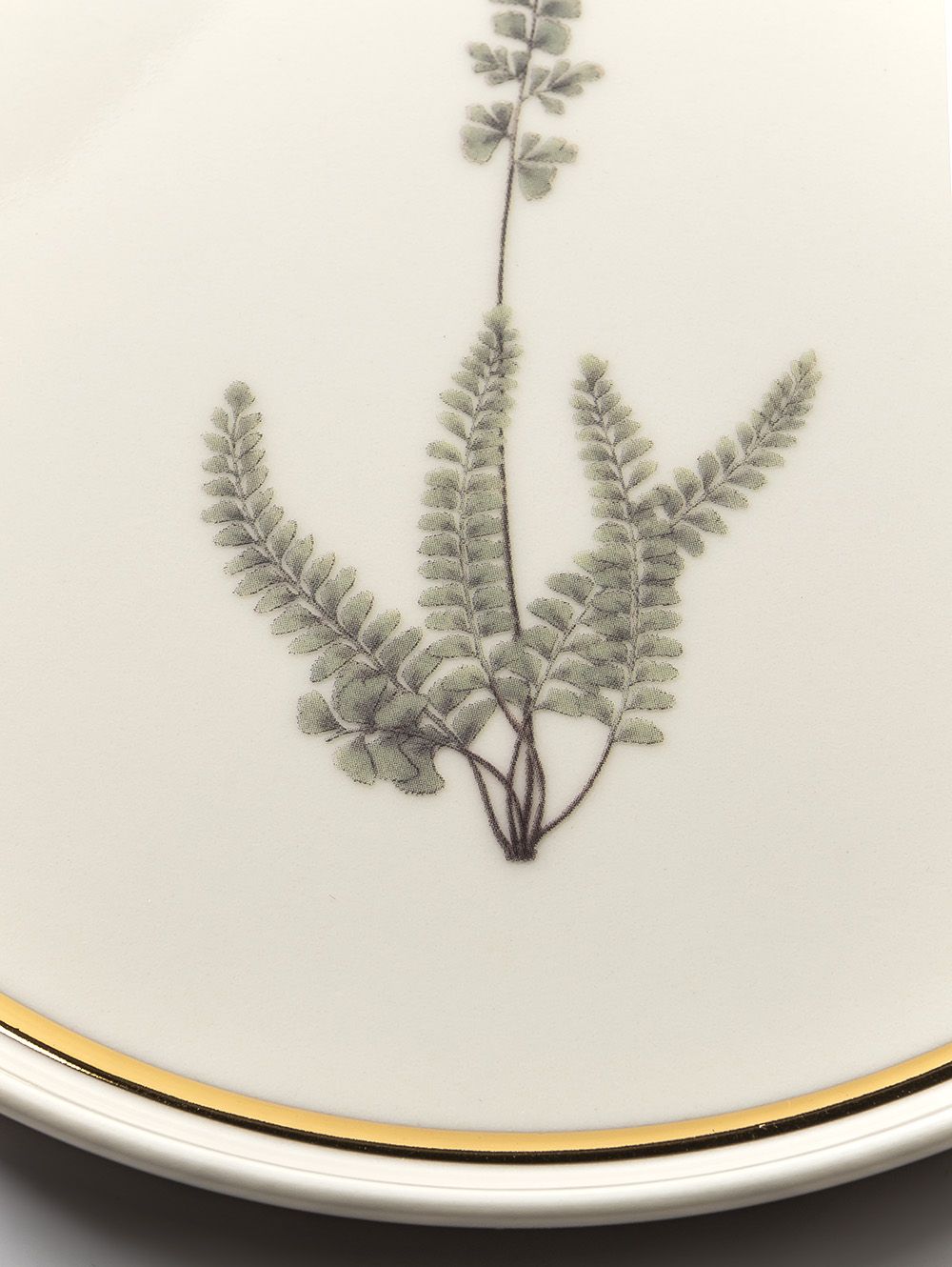 PLATO DE POSTRE BOTANICAL ESPIGA 21 CM