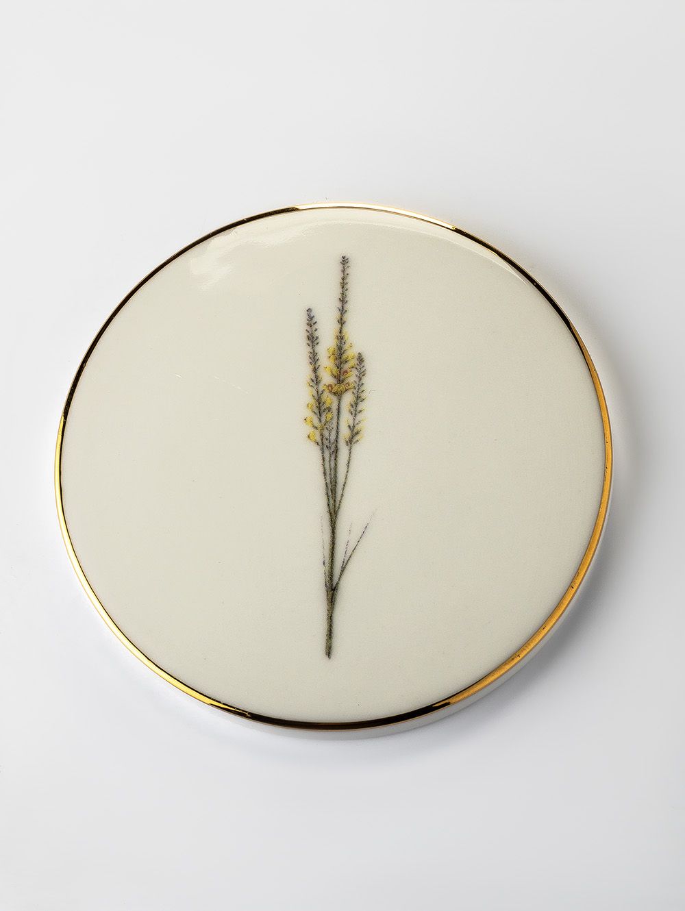 APOYA VASO BOTANICAL