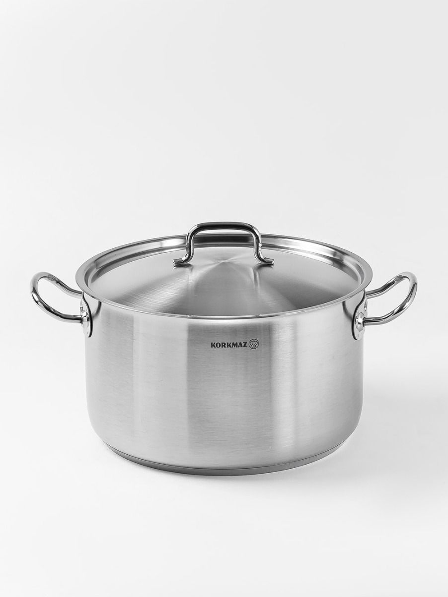 OLLA PROLINE GASTRO 24 CM