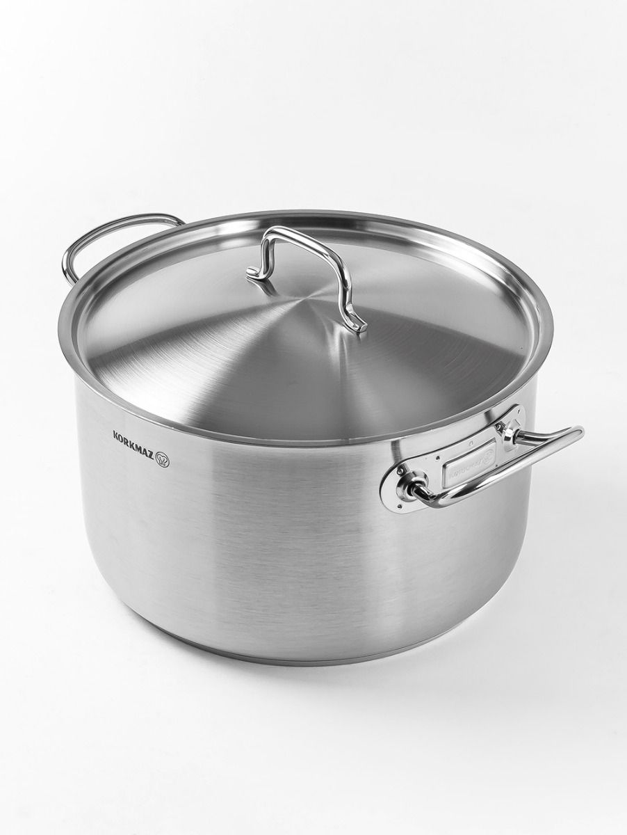 OLLA PROLINE GASTRO 24 CM