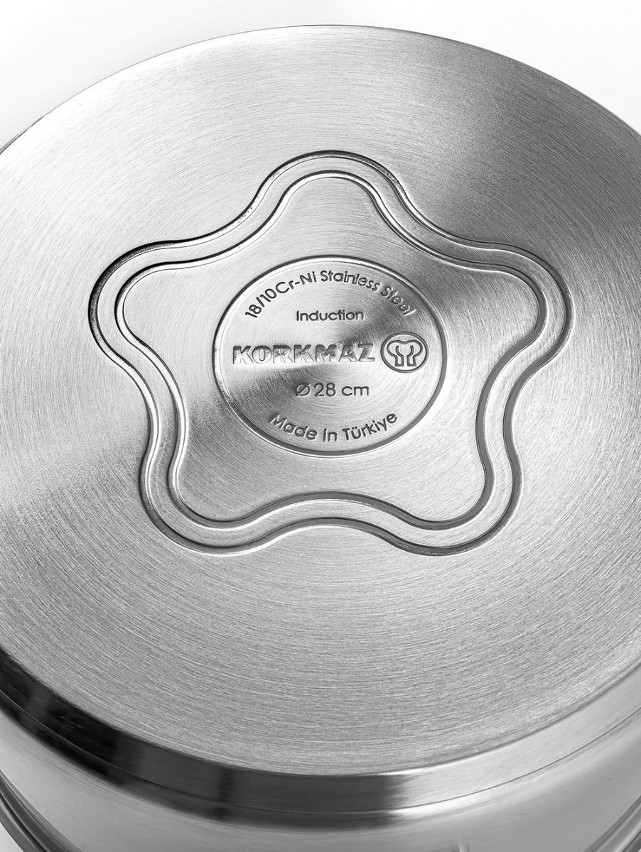 OLLA PROLINE GASTRO 24 CM